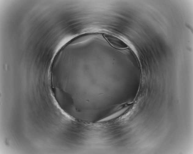 X0000096491053200802071938