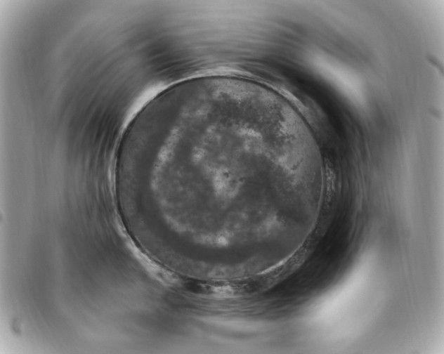 X0000096491054200802071938