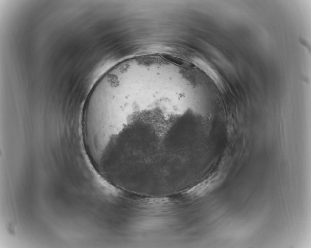 X0000096491055200802071938