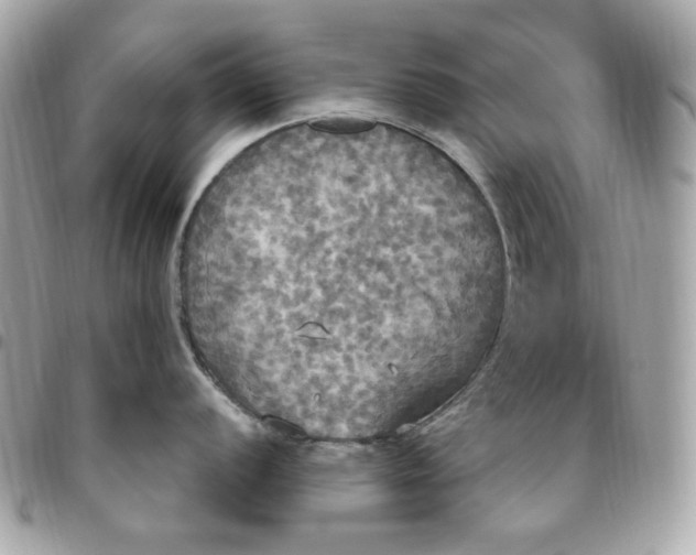 X0000096491056200802071938