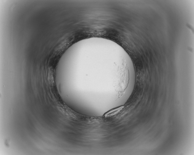 X0000096491058200802071937