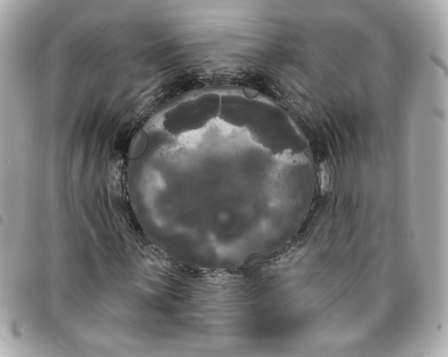 X0000096491059200802071937