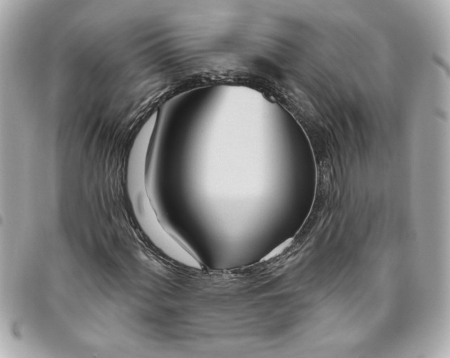 X0000096491060200802071937