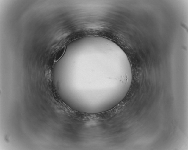 X0000096491061200802071937