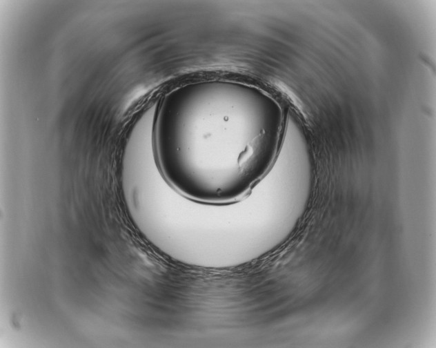 X0000096491064200802071937