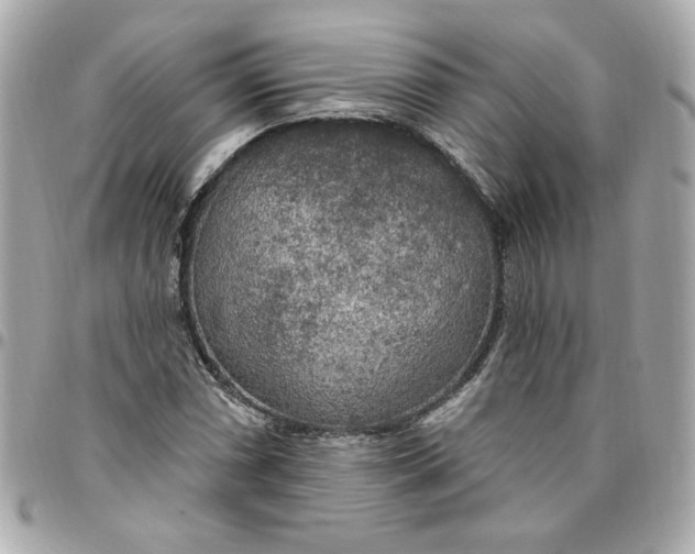 X0000096491066200802071937