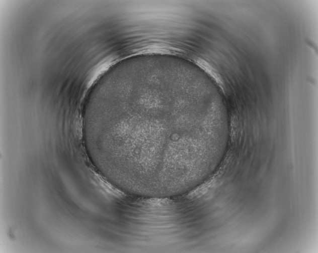 X0000096491067200802071937