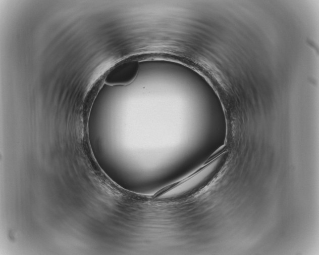 X0000096491069200802071937