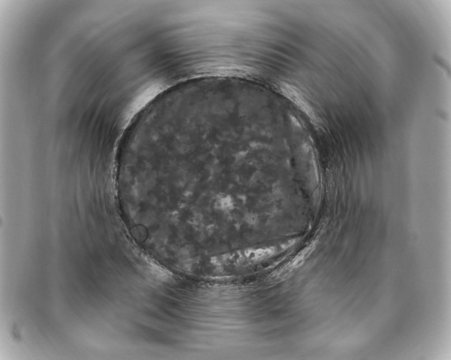 X0000096491071200802071937