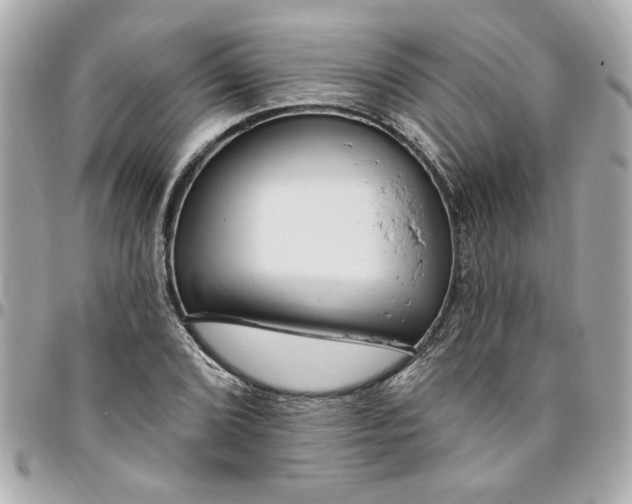 X0000096491072200802071937