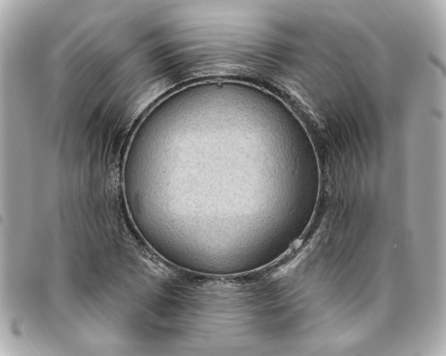 X0000096491073200802071937