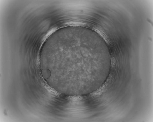 X0000096491074200802071937