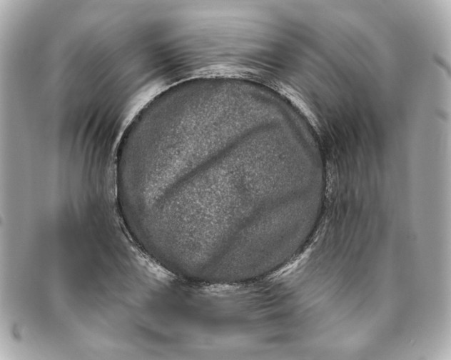 X0000096491075200802071937