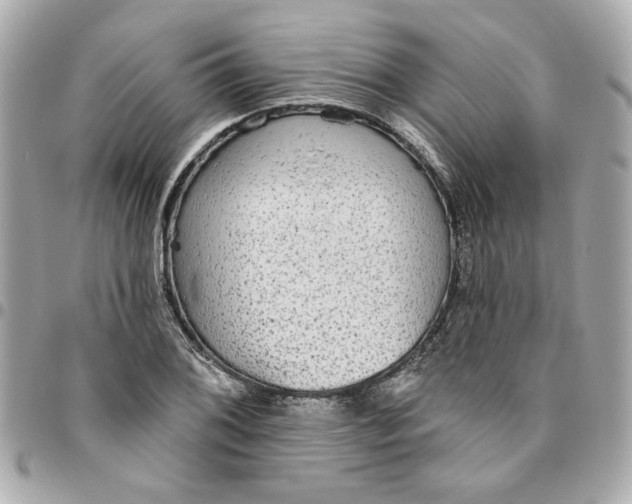 X0000096491076200802071937