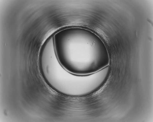 X0000096491077200802071937