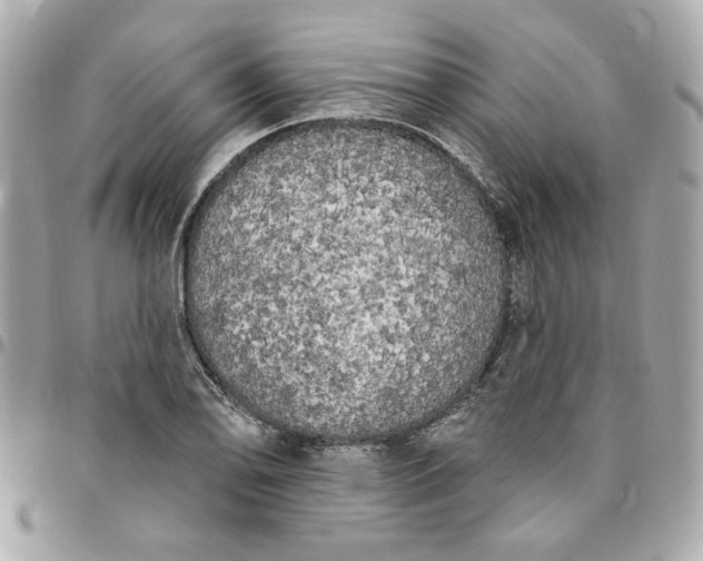 X0000096491078200802071937