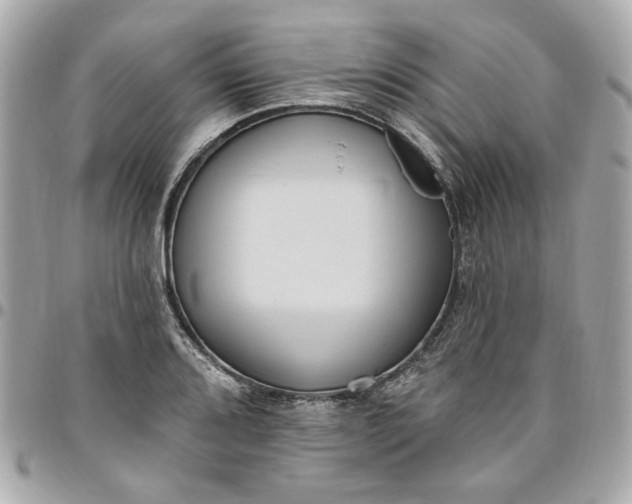 X0000096491080200802071937