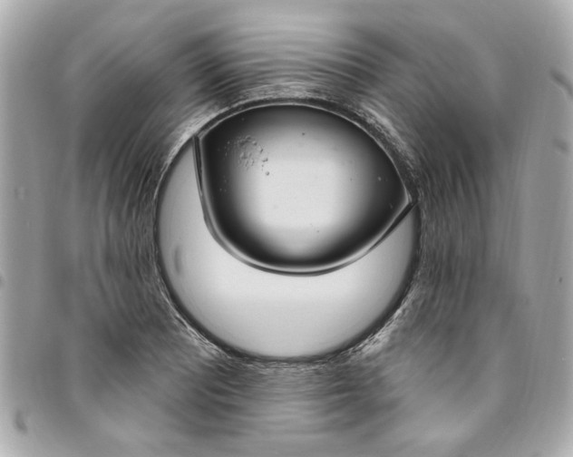 X0000096491081200802071937