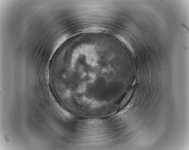 X0000096491083200802071937