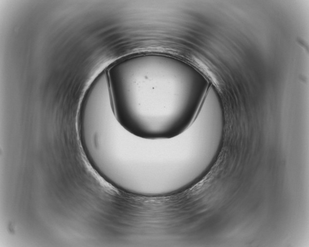 X0000096491084200802071937