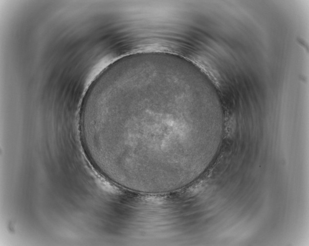 X0000096491086200802071937