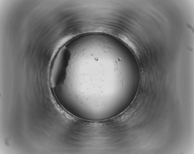 X0000096491088200802071937