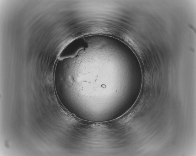 X0000096491089200802071937