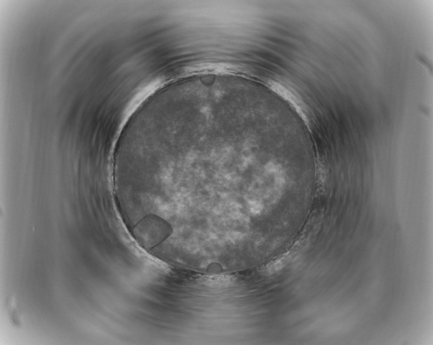 X0000096491090200802071937