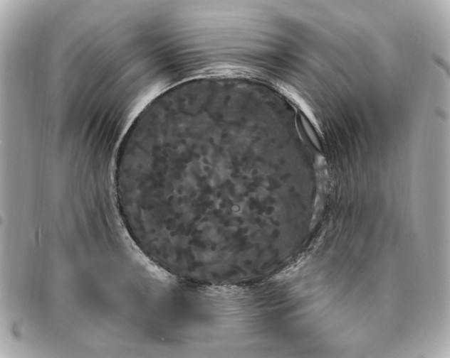 X0000096491091200802071937