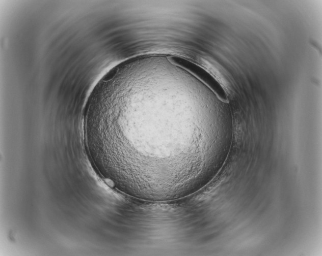 X0000096491092200802071937