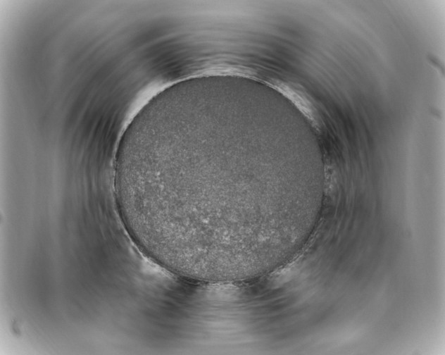 X0000096491094200802071937