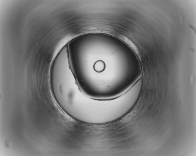 X0000096491096200802071937