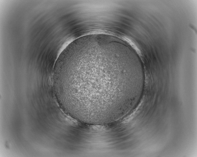 X0000096491097200802071937