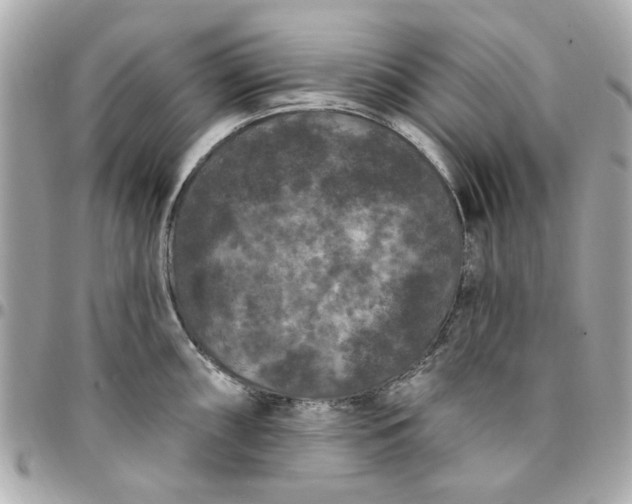 X0000096491098200802071937