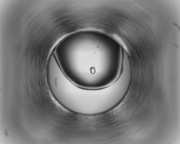 X0000096491100200802071937