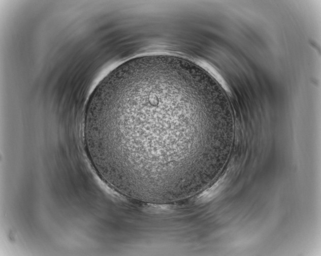 X0000096491101200802071937