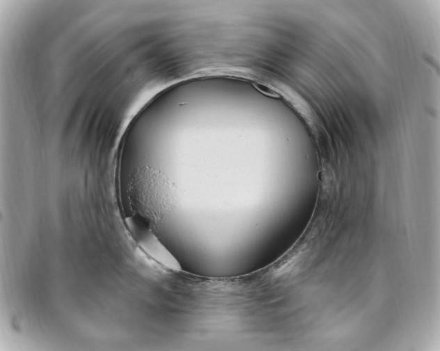 X0000096491102200802071937