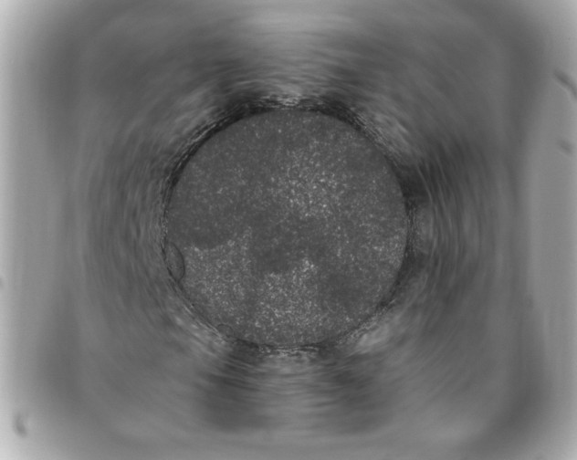 X0000096491105200802071936