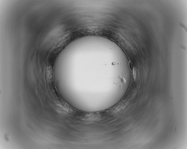 X0000096491107200802071936