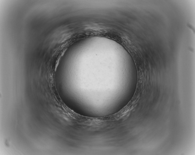 X0000096491109200802071936