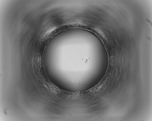 X0000096491111200802071936