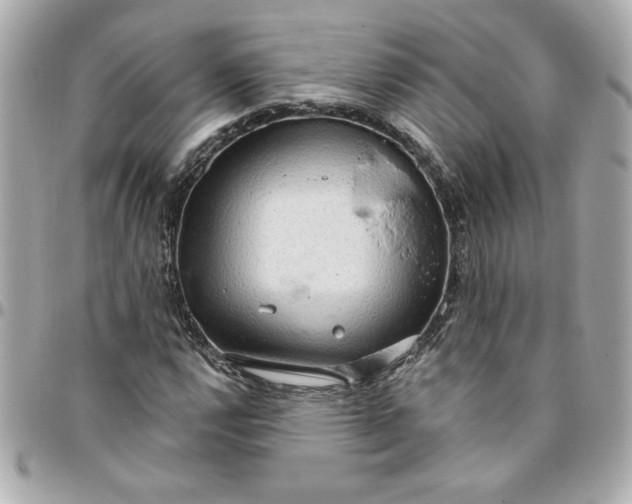 X0000096491112200802071936