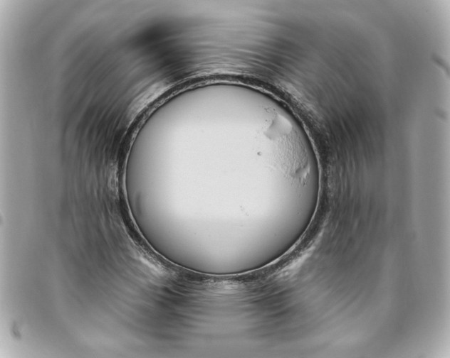 X0000096491113200802071936