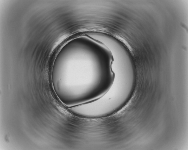 X0000096491114200802071936