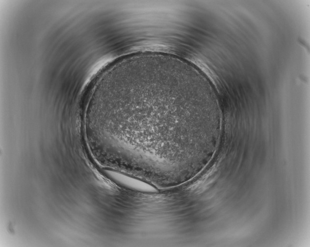 X0000096491115200802071936