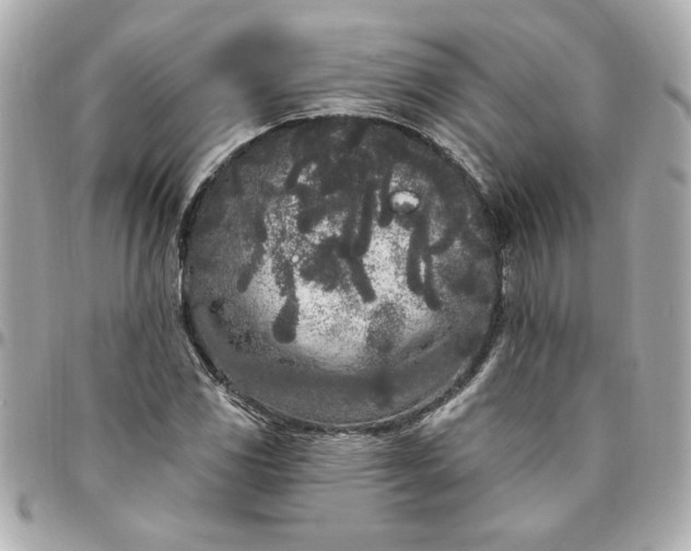 X0000096491117200802071936