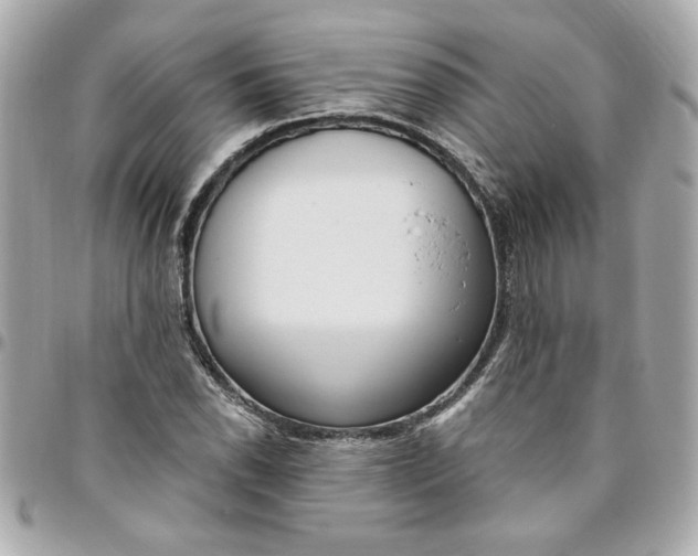 X0000096491118200802071936