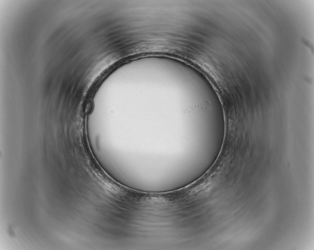 X0000096491119200802071936