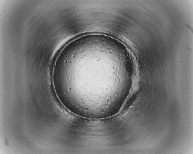 X0000096491120200802071936