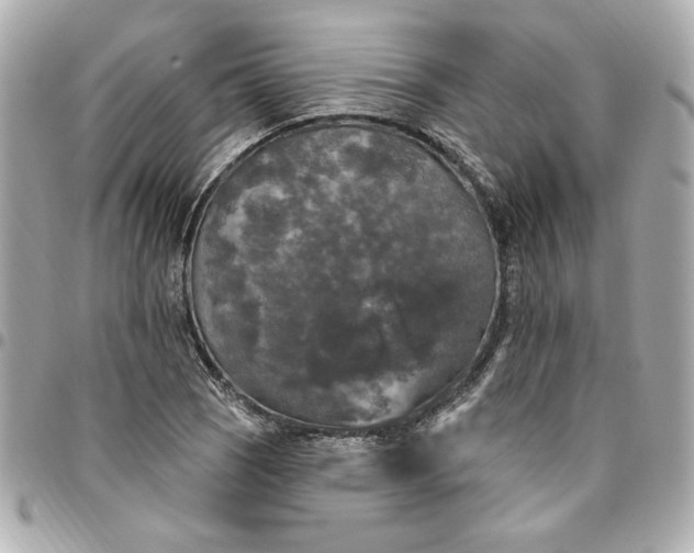 X0000096491121200802071936